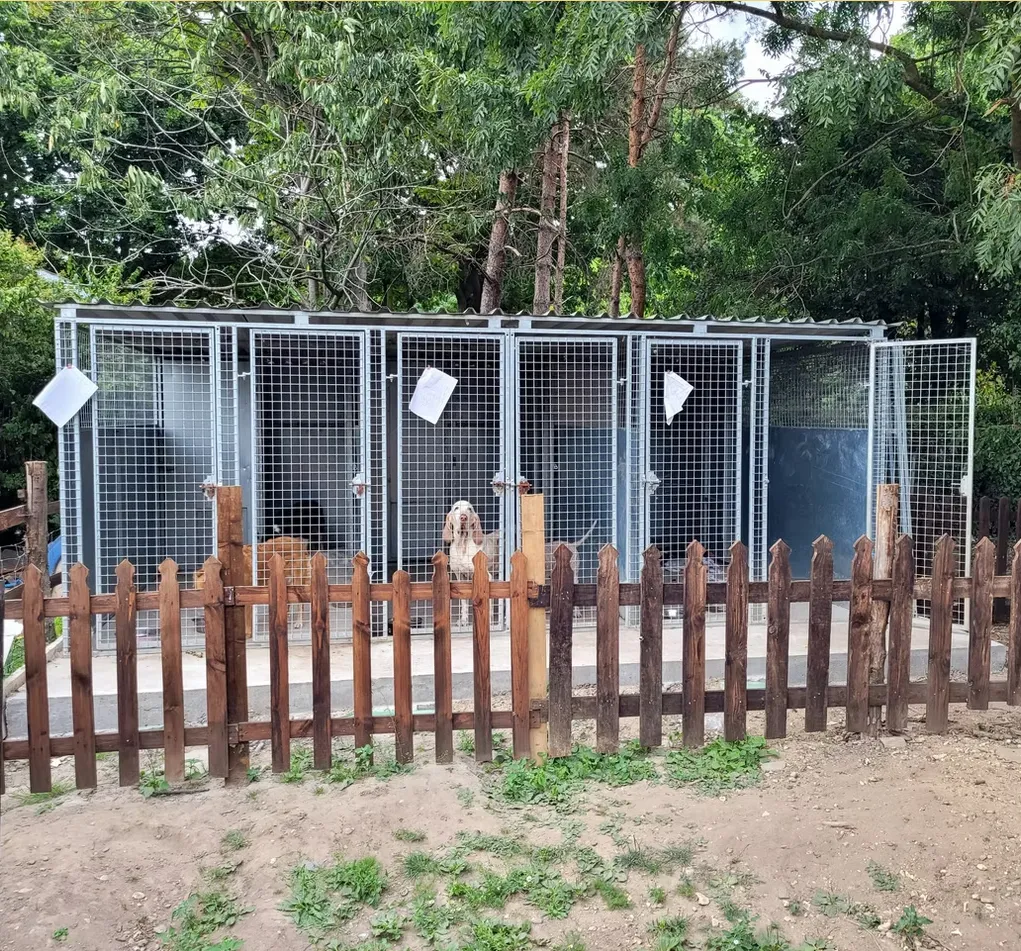 kennels photo 2