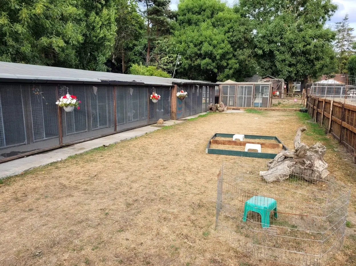 kennels photo 1