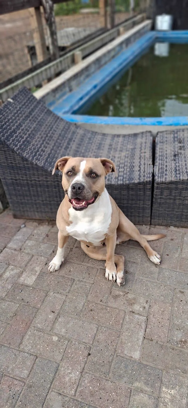 kennels photo 21